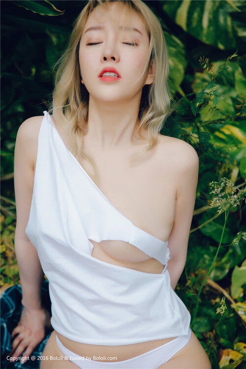 泰国<a href=https://huilongys.com/ target=_blank class=infotextkey>情降</a>的三个基本原则（泰国<a href=https://huilongys.com/ target=_blank class=infotextkey>情降</a>要好几万吗）