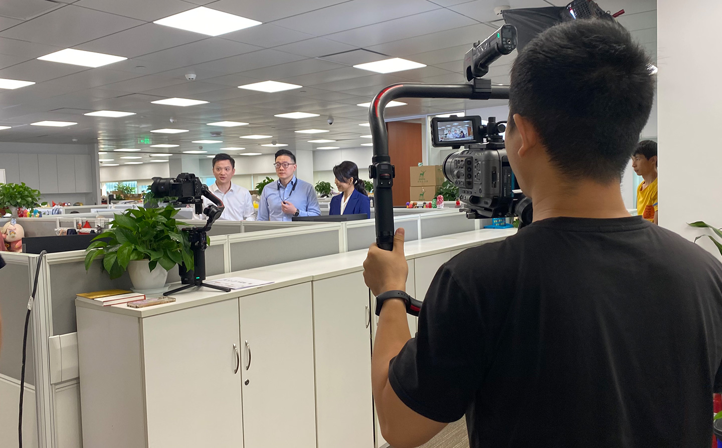 宣传片拍摄公司巧妙运用色彩制作